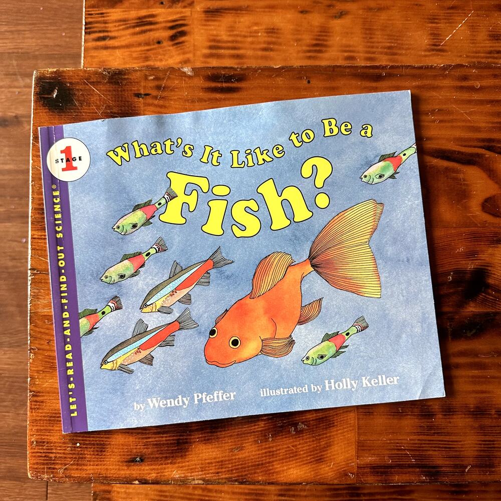 Vintage 1996 What's It Like To Be A Fish? Let's Read & Find Out Science Book